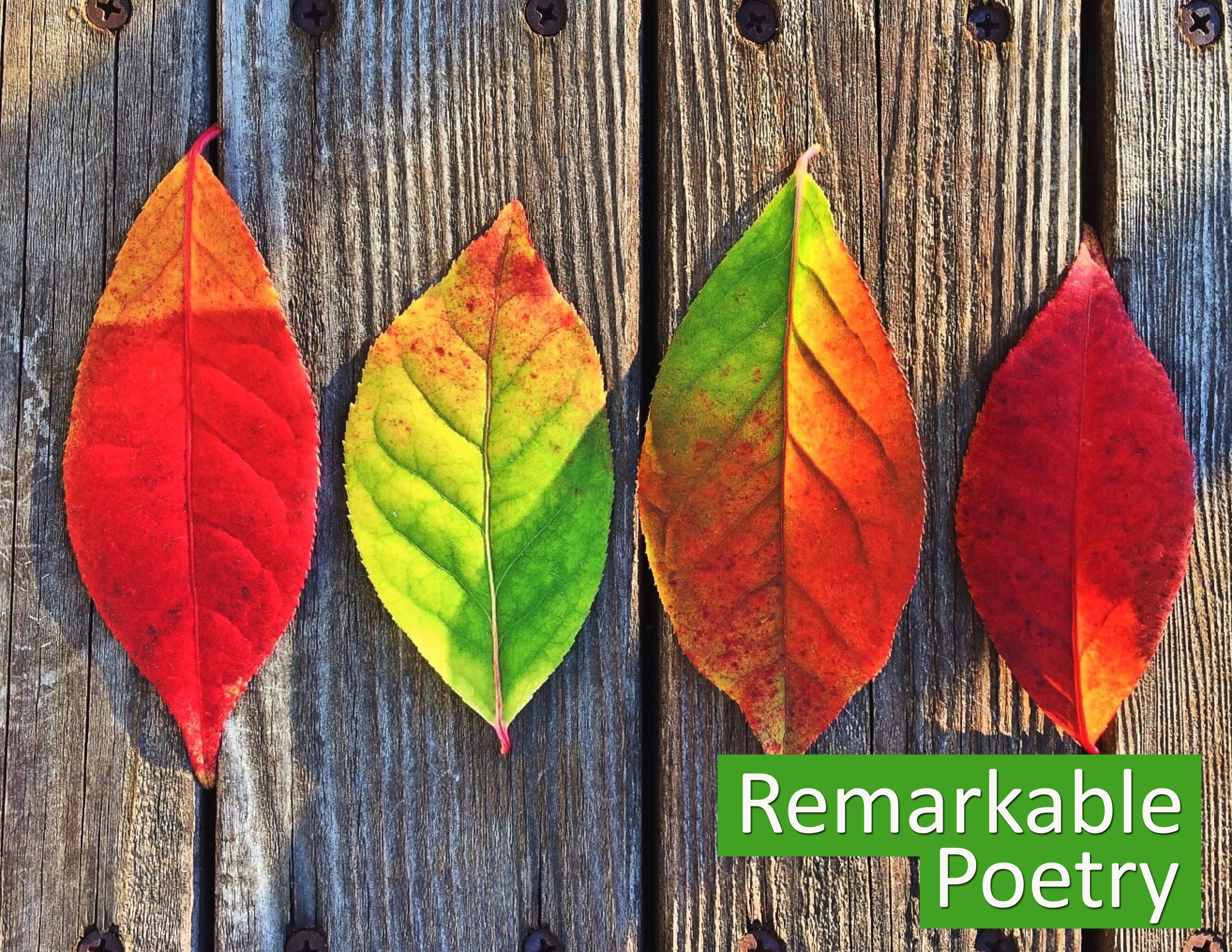 Remarkable Poetry